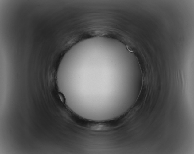 X0000086070460200704132044