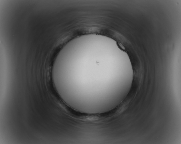 X0000086070462200704132044