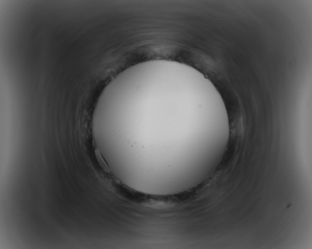 X0000086070464200704132044