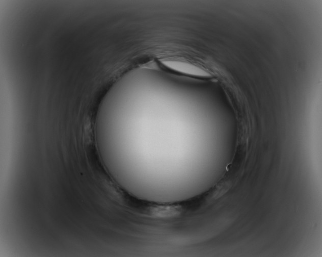 X0000086070465200704132044