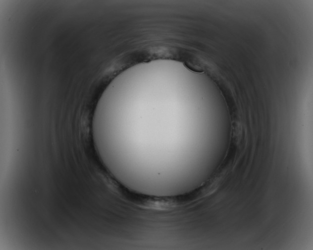 X0000086070466200704132044