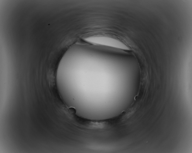X0000086070469200704132044