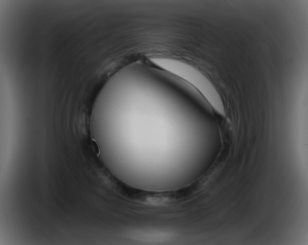 X0000086070470200704132044