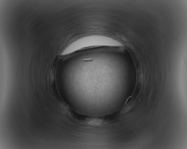 X0000086070471200704132044