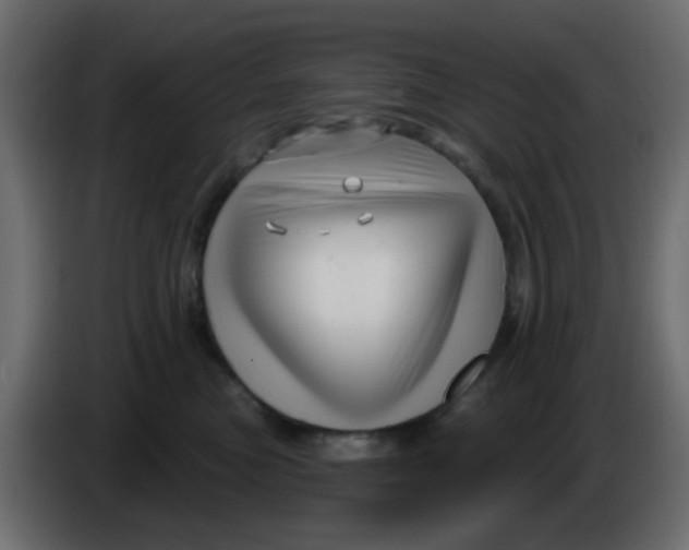 X0000086070473200704132044