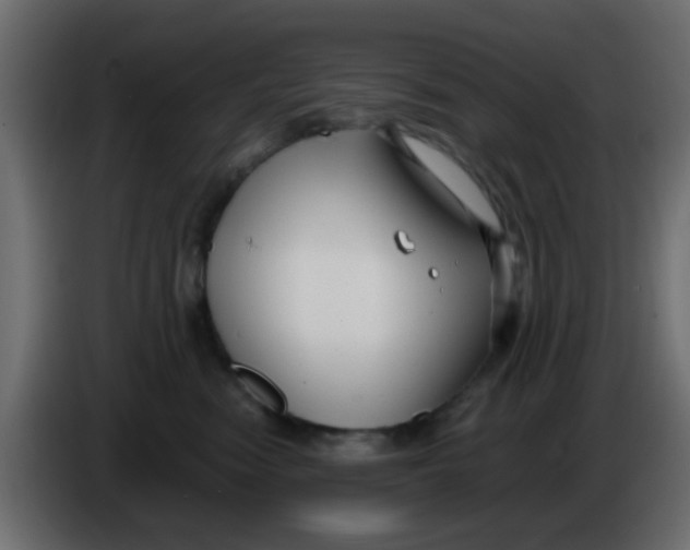 X0000086070474200704132044