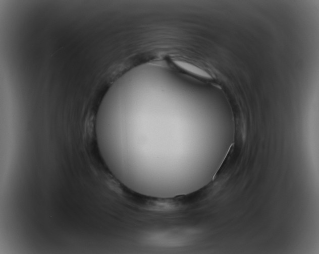 X0000086070475200704132044