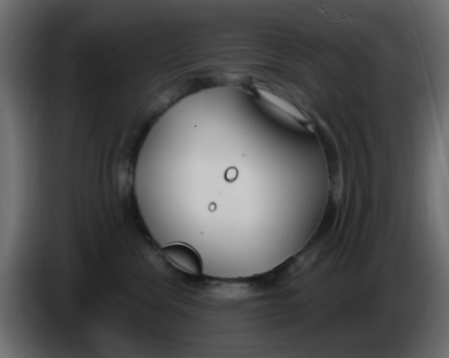 X0000086070476200704132044