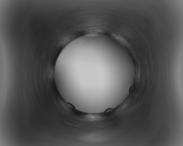 X0000086070477200704132044