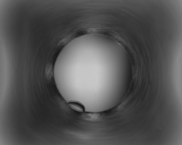 X0000086070478200704132044