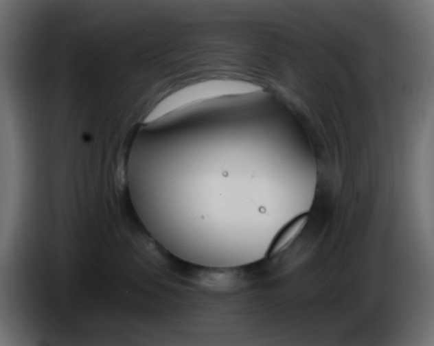 X0000086070479200704132044