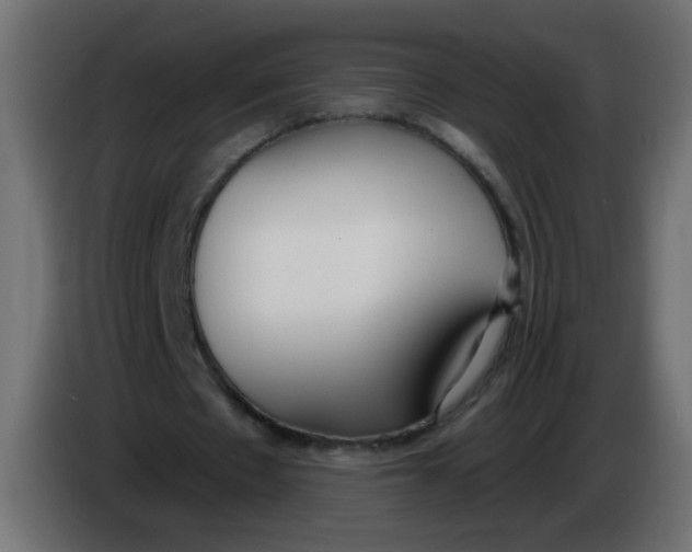 X0000086070481200704132044