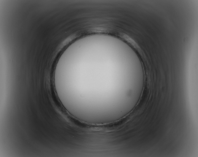 X0000086070482200704132044