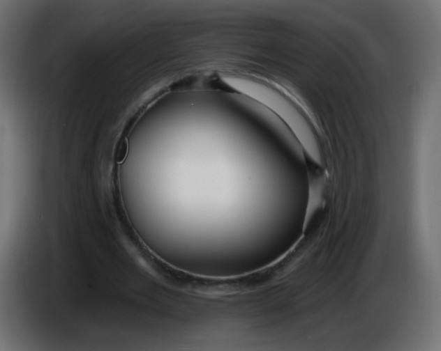 X0000086070485200704132044