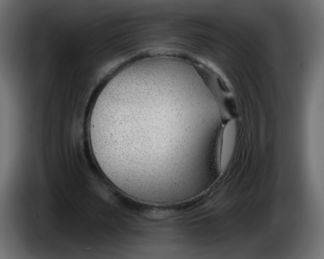 X0000086070487200704132044