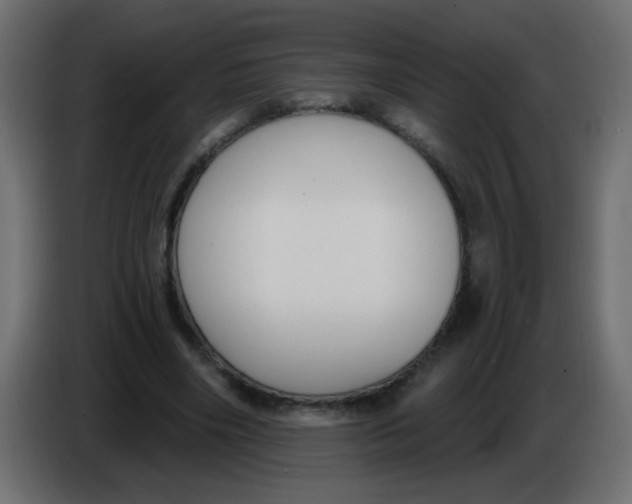 X0000086070490200704132043