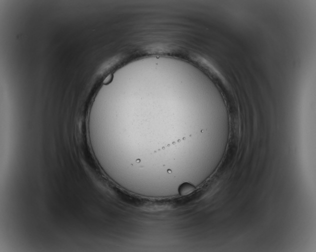 X0000086070491200704132043