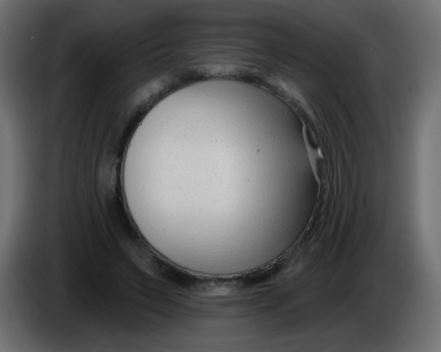 X0000086070495200704132043