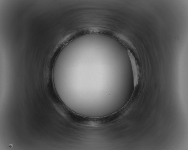 X0000086070496200704132043