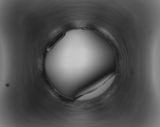 X0000086070497200704132043