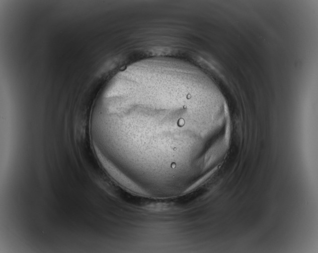 X0000086070499200704132043