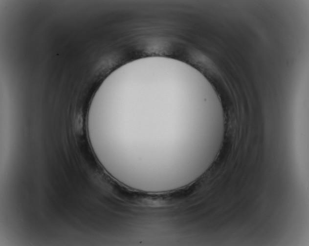 X0000086070502200704132043