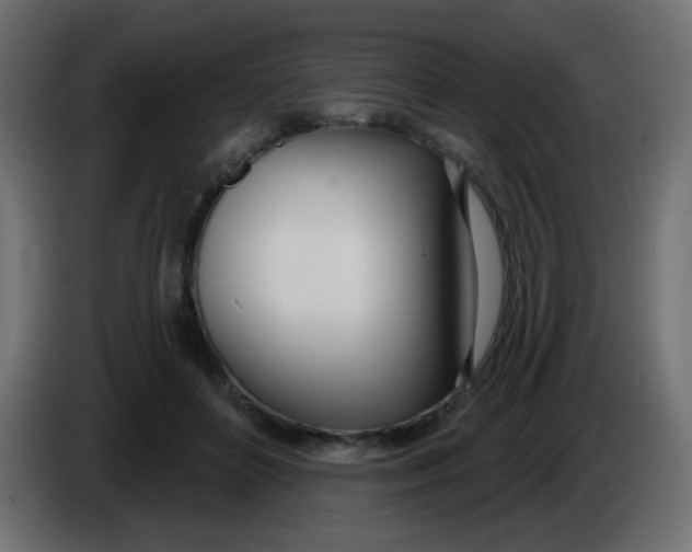 X0000086070504200704132043