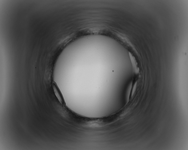 X0000086070505200704132043