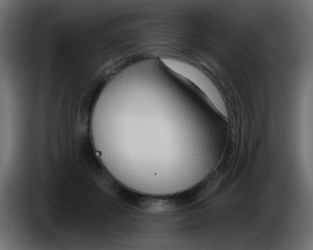 X0000086070507200704132043