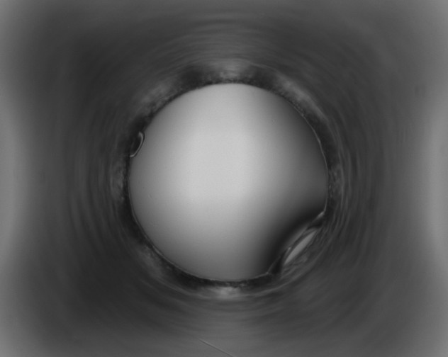 X0000086070509200704132043