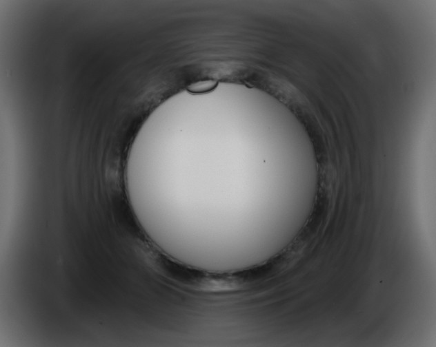 X0000086070510200704132043