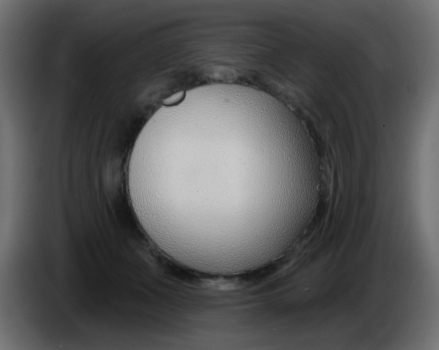 X0000086070511200704132043