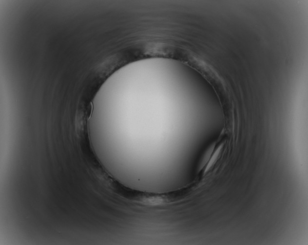 X0000086070513200704132043