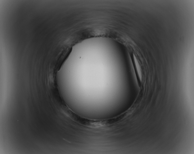 X0000086070516200704132043