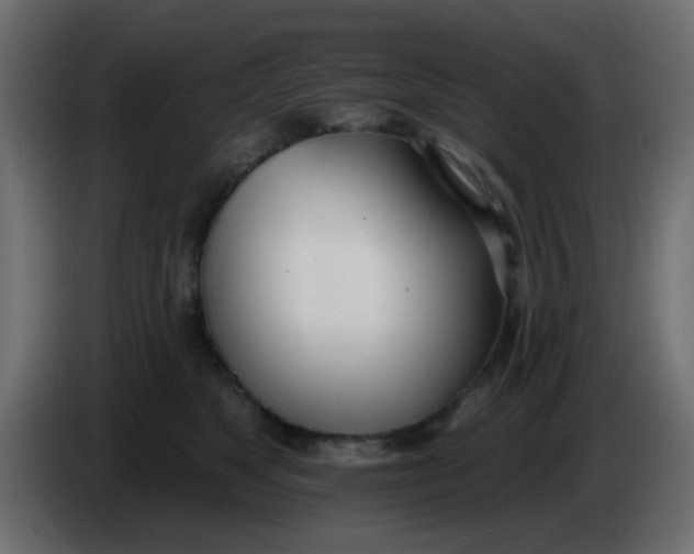 X0000086070517200704132043