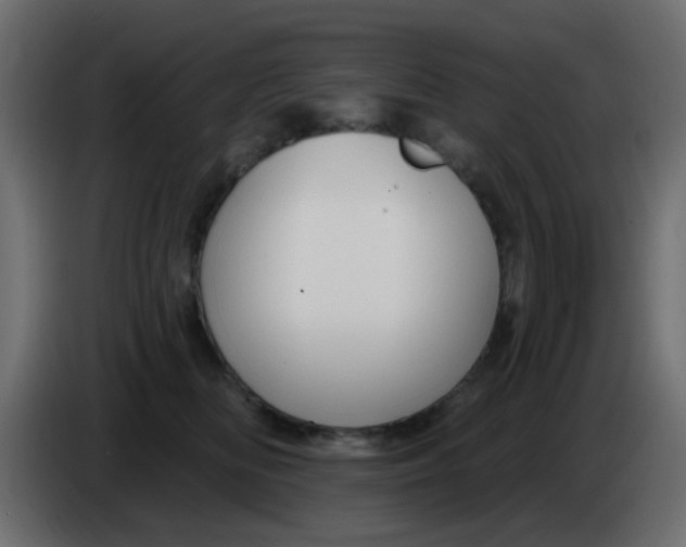 X0000086070518200704132043
