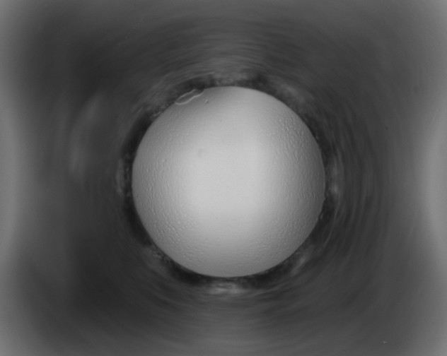X0000086070519200704132043