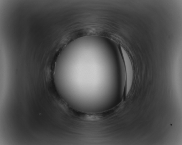 X0000086070520200704132043