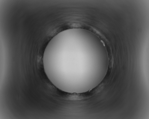 X0000086070521200704132043