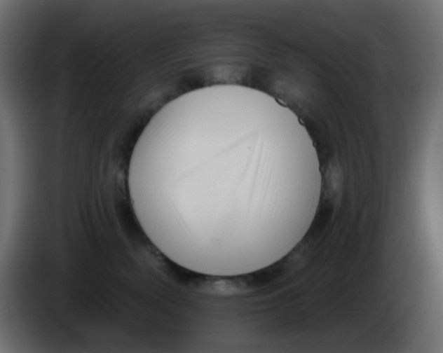 X0000086070522200704132043