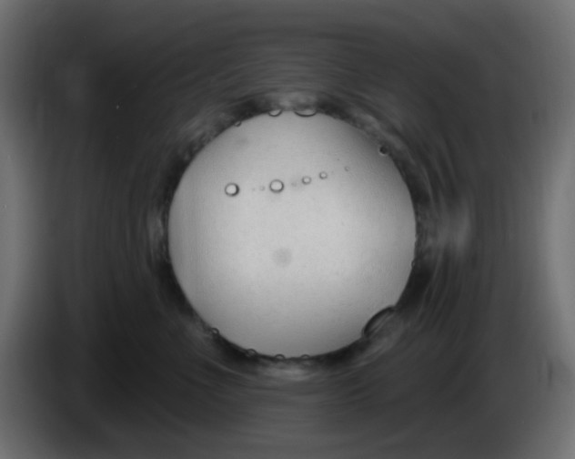 X0000086070523200704132043