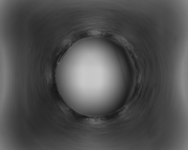 X0000086070524200704132043