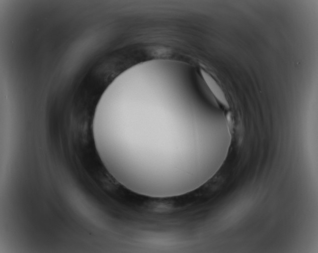 X0000086070525200704132043