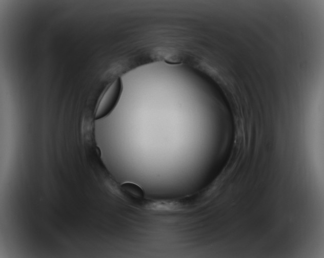 X0000086070526200704132043