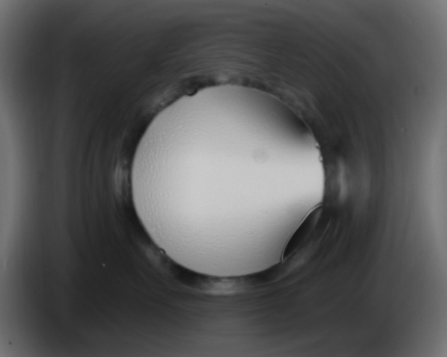 X0000086070527200704132043