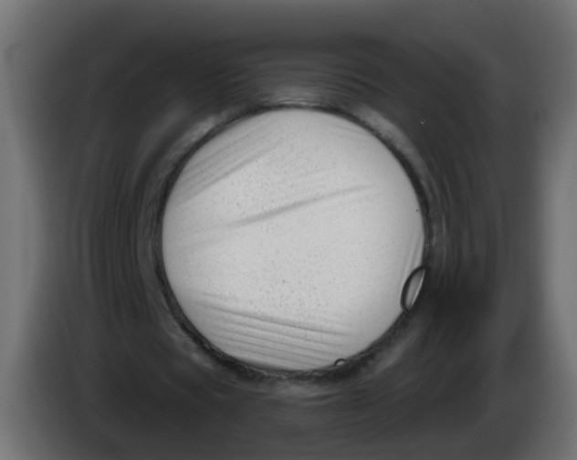 X0000086070529200704132042