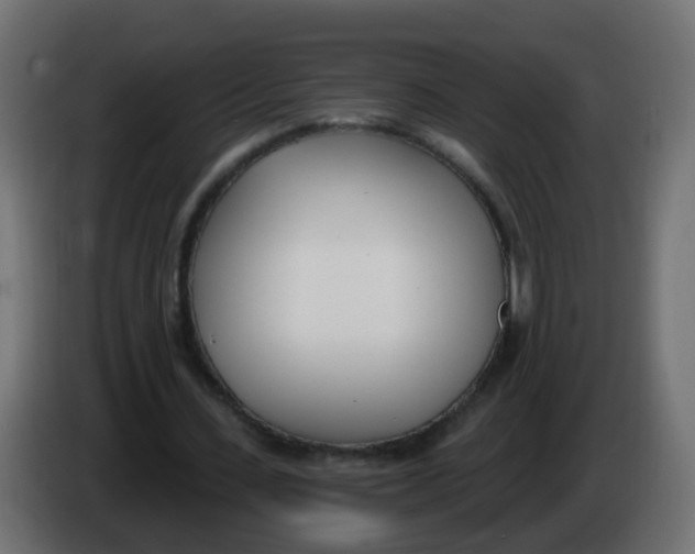 X0000086070531200704132042