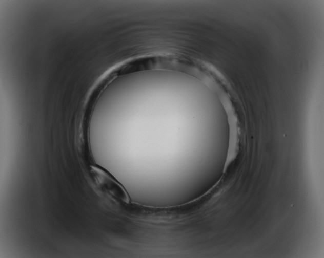 X0000086070532200704132042