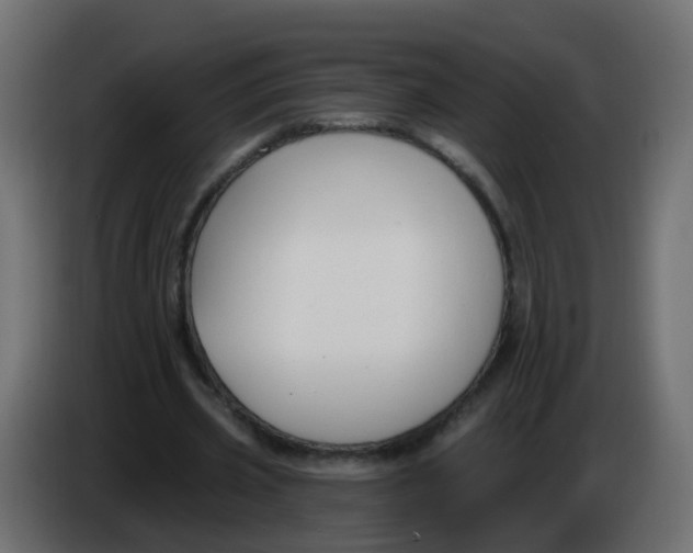 X0000086070533200704132042