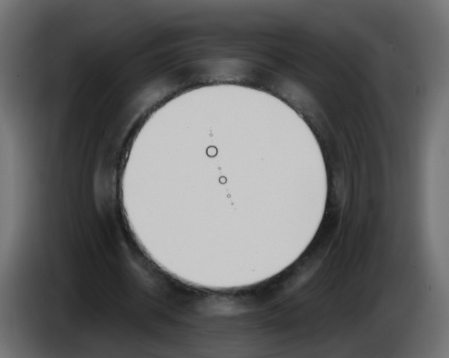 X0000086070534200704132042